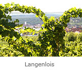 Weingut Leithner in Langenlois
